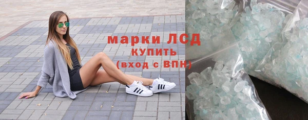 прущие грибы Иннополис