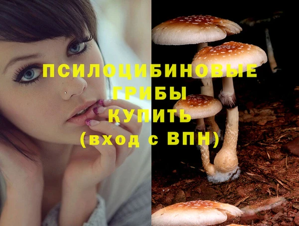 прущие грибы Иннополис