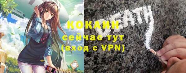 прущие грибы Иннополис