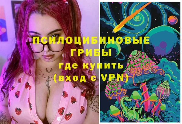 спиды Инта