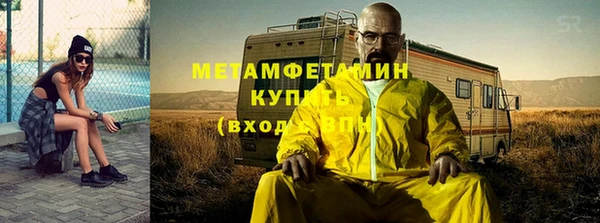 прущие грибы Иннополис