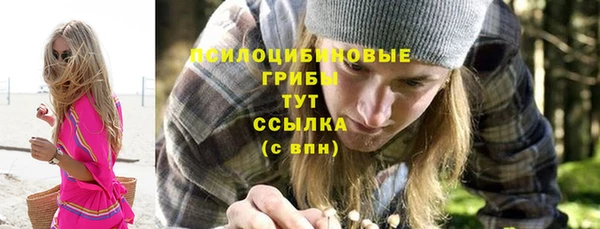 прущие грибы Иннополис