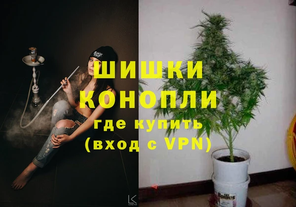 спиды Инта