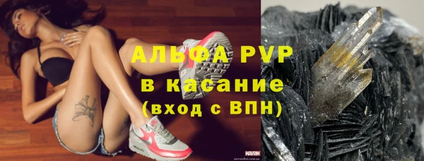 спиды Инта