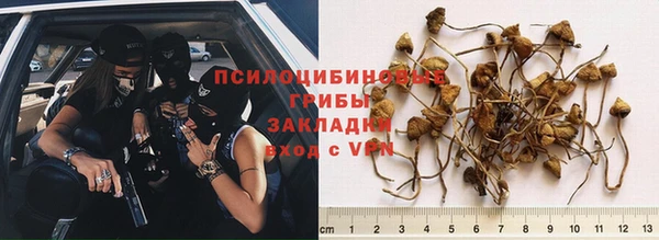 спиды Инта